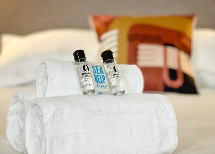 L'argentier - Centre - Luxe - Gare Toulouse